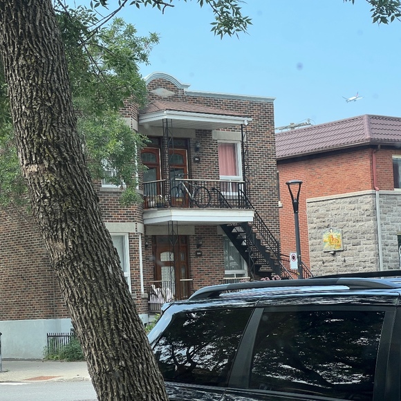 Meet your Posher, Myrtille - Picture 1 of 1